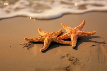 Fototapeta na wymiar Two starfishes at the beach sand. Generative AI.