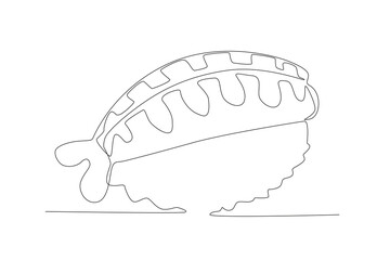 Vector hand drawn doodle set with sushi. different types of sushi food
