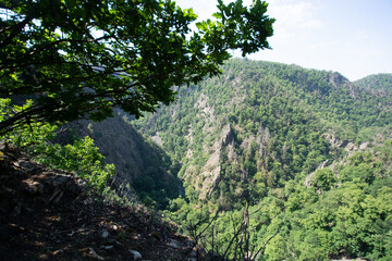 Fototapeta na wymiar The Bodetal in Harz, a mountain area in Germany in summer 2023