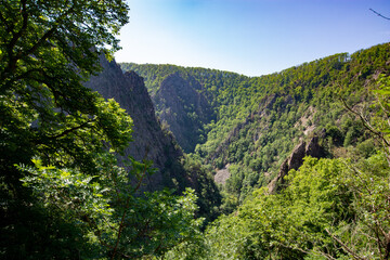 Obraz premium The Bodetal in Harz, a mountain area in Germany in summer 2023