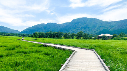 阿蘇くじゅう国立公園のタデ原湿原