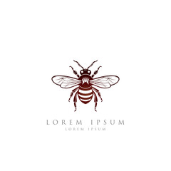 Honey bee logo. Hand drawn engraving style illustrations. Bee logo vector minimalist graphic vector. 