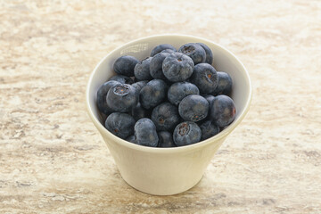 Sweet ripe blueberry heap in the bowl