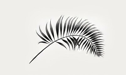  a black and white photo of a palm leaf on a white background.  generative ai