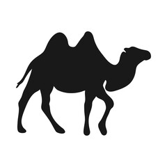 Camel. Isolated icon on a white background