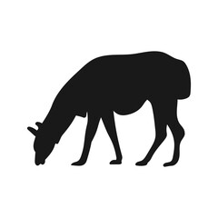 Lama. Isolated icon on a white background