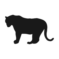 Tiger. Isolated icon on a white background