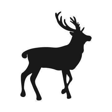 Deer. Isolated icon on a white background