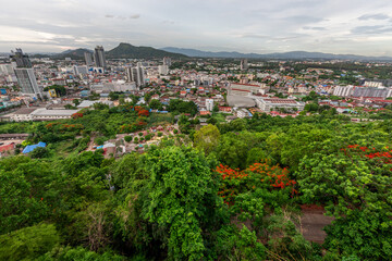 natural background of many species of plants that are laid out in the park, for the propagation of the species and to provide shade for those who stop by while traveling to study the ecology.