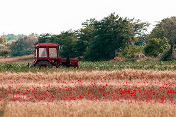 A picturesque scene with a tractor on a dirt road, surrounded by a wheat field adorned with poppies, and a backdrop of a forest.