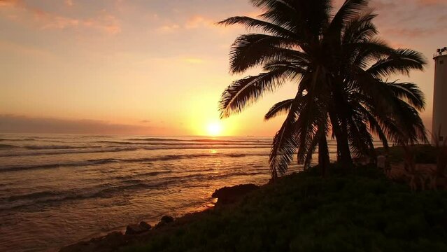 Aerial Shot Of Silhouette Plants By Lighthouse At Beach, Drone Ascending Forward Over Sea Against Sky At Sunset - San Juan, Puerto Rico