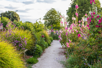 Saujon - Pays de la Loire - France 