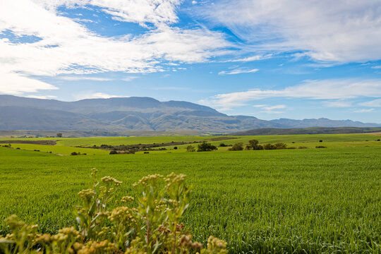 Beautiful fields and mountains under a blue sky on the road towards George, Western Cape, South Africa.