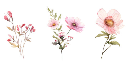 Naklejka premium Beautiful pink florals watercolor elements set.