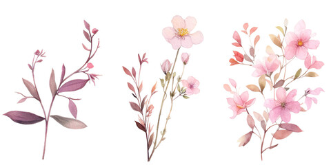 Beautiful pink flowers watercolor elements set.