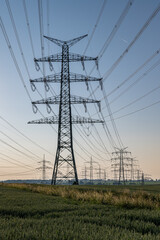 Fototapeta premium Hochspannungsleitungen für Stromtransport