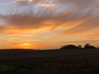 sunset over the field