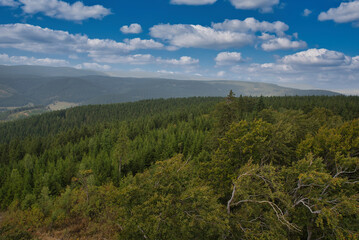 Fototapeta premium Aussicht im Thüringer Wald Deutschland