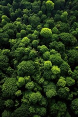 Fototapeta premium aerial view of lush, green forest canopy, created with generative ai