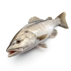 Fototapeta premium Cod fish on white background. 3D illustration digital art design, generative AI