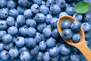 The heap of ripe blueberries with a wooden spoon. Natural food pattern background.