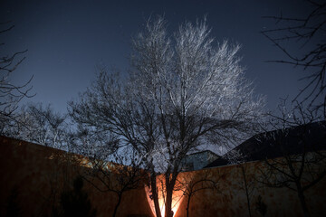 Old house with a Ghost in the forest at night or Abandoned Haunted Horror House in fog. Old mystic building in dead tree forest. Trees at night with moon. Surreal lights.