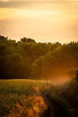 Fototapeta premium sunrise in the countryside