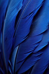 Obraz premium blue feather detail on macro scale, created with generative ai