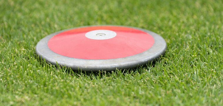 Close up of discuses on grass after impact on grass