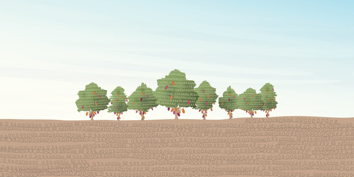 Cocoa tree landscape vector illustration with blank space. Cacao plant childish style flat design background.