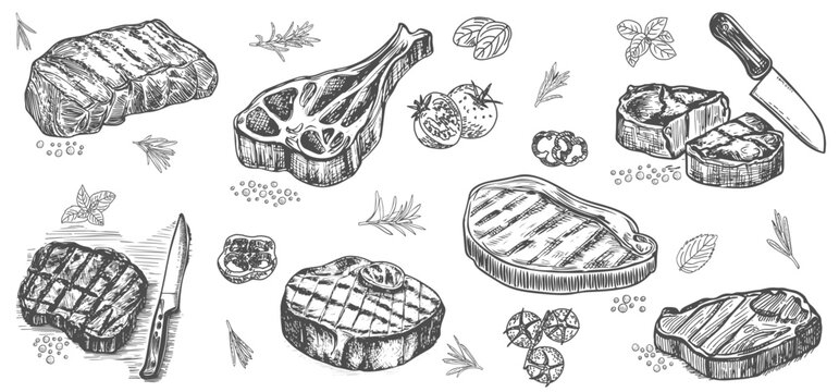 Hand drawn beef, lamb and pork extra or medium rare steak. Grill restaurant design template. vector illustration Engraved design set.