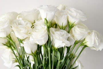 Lisianthus Beautiful white flower background