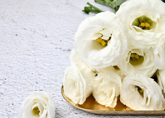 Lisianthus Beautiful white flower background