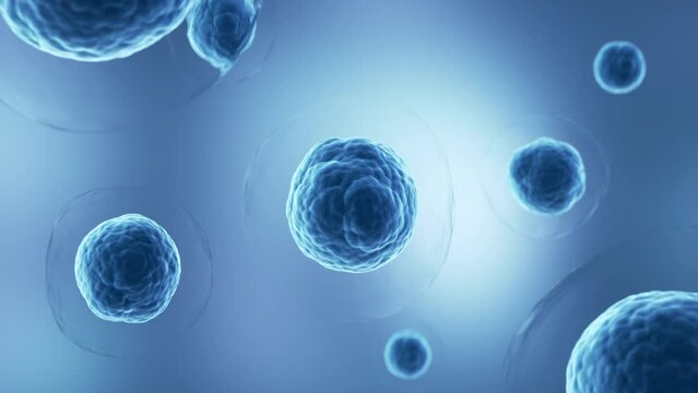 Human cell or Embryonic stem cell microscope background.