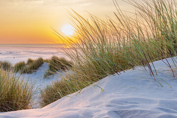 Dunes landscape during sunset at the beach of Wadden island Terschelling Friesland province in The Netherlands