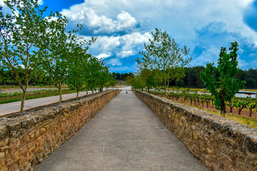Fototapeta na wymiar Entrance of a beautiful Vineyard in the badlands of Spain