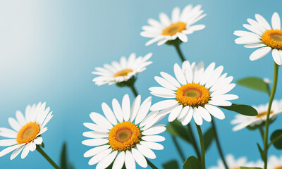 Beautiful daisies on a blue background. Generative AI.