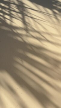 Abstract silhouette shadow beige background of natural leaves tree branch falling on wall. Transparent blurry shadow of tropical leaves morning sun light. vertical