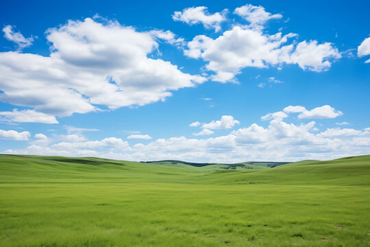 photo of blue sky and green steppe style 2