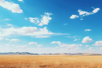 Fototapeta na wymiar photo ofblue sky and steppe style 3