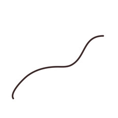 Organic Curved Line