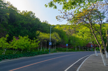 Spring seaside scenery of Binhai Road in Dalian, Liaoning province, China
