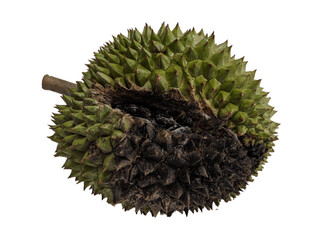 An old durian on isolated background 