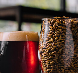 Fresh dark beer with a glass of wheat