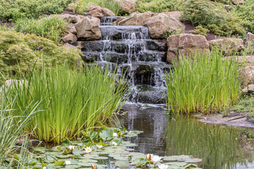 chinese gardens at rhs bridgewater