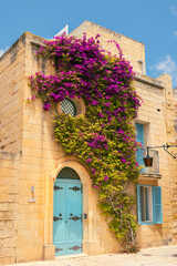 Fototapeta na wymiar Traditional Maltese house with bright blue wooden door and colourful flowers of purple Bougainvillea on sandstone walls. Taken in Mdina, Malta.