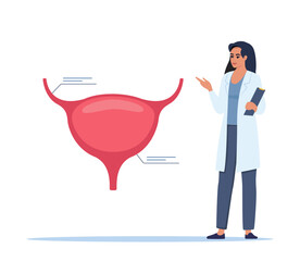 Doctor gives a training lecture about anatomy. Doctor presenting human bladder infographics. Medical seminar, lecture, healthcare meeting concept. Vector illustration. - obrazy, fototapety, plakaty