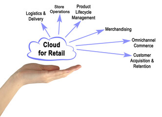 Use of Cloud Computing for Retail