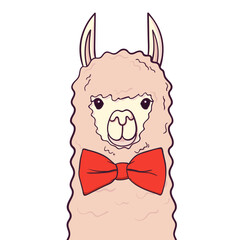 Cute Lama with bow-tie. Print for fabric, t-shirt, poster. Illustration on transparent background