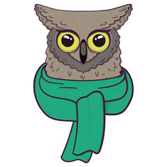 Cute Owl in scarf. Print for fabric, t-shirt, poster. Illustration on transparent background